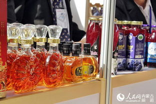 中國(guó) 海拉爾第十一屆中俄蒙經(jīng)貿(mào)洽談暨商品展銷(xiāo)會(huì)6月28日隆重開(kāi)幕