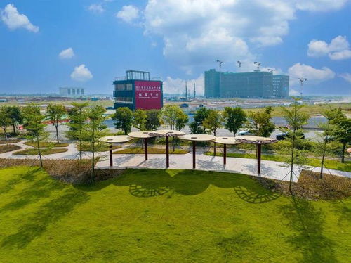 突出特色錯位發展 江海區構建 外海制造 禮樂 農業 工業 雙擎驅動 江南 總部 商貿 發展格局