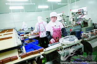 全民創業正當時